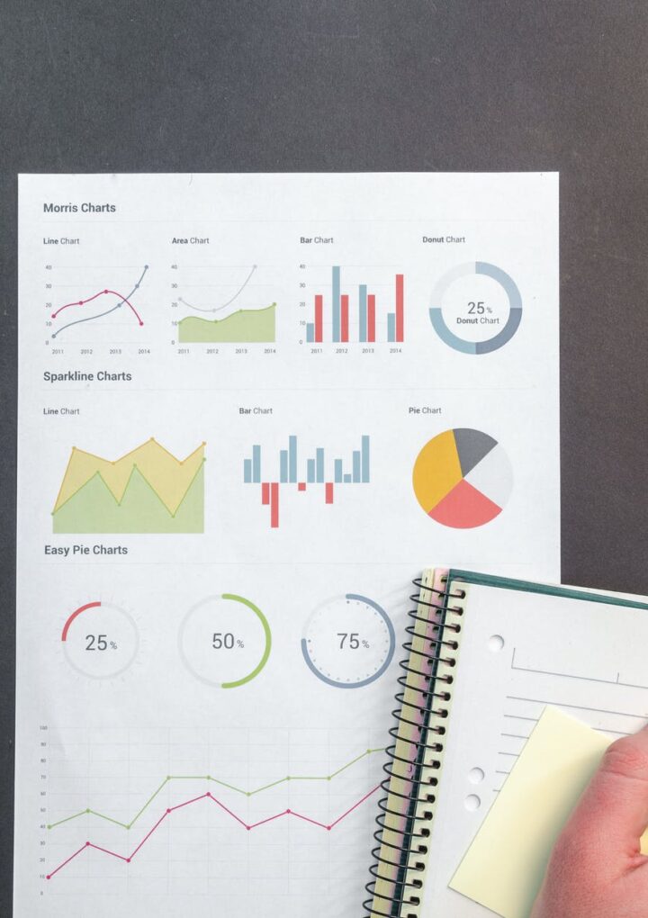How A Digital Marketer Ensure High Rank On SERP?