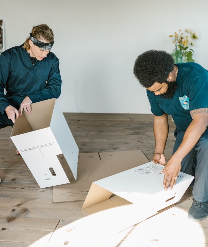 A Practical Guide for Moving with Pets