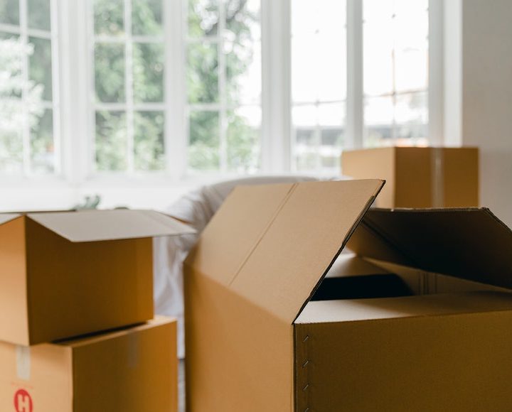 5 Things to do in the wake of Shifting